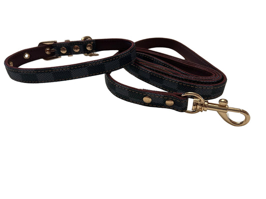 Elegant & Classic Collar and Lead set