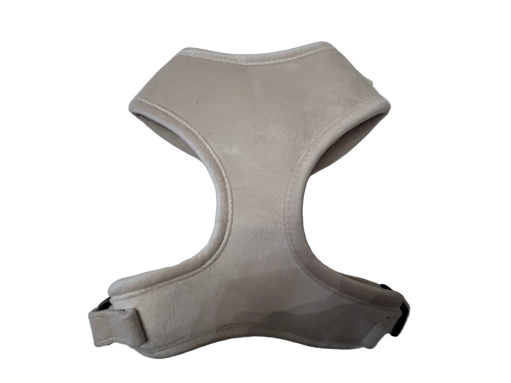 Dapper Dogs Design- Complete Velvet Set