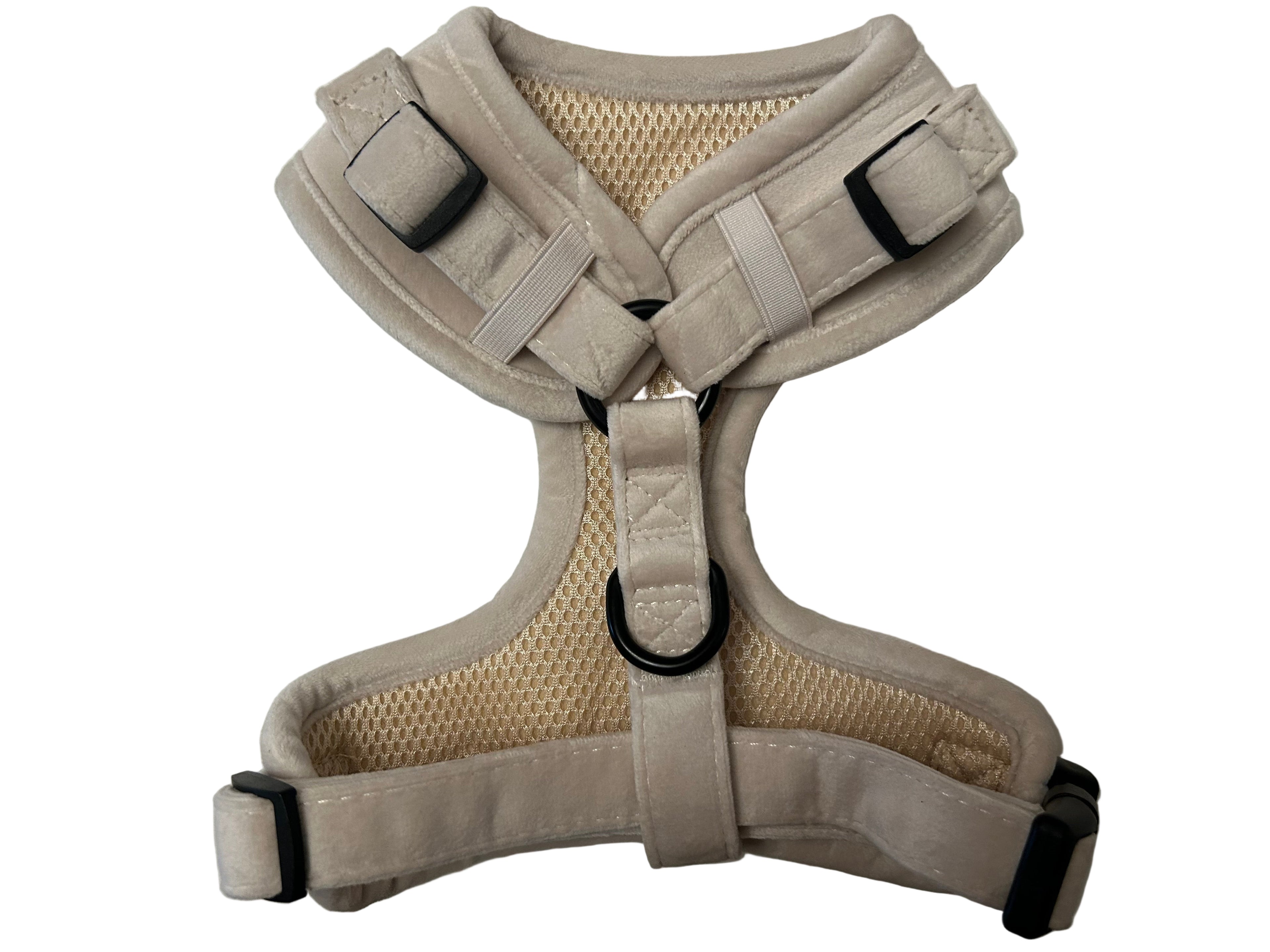 Dapper Dogs Design- Complete Velvet Set