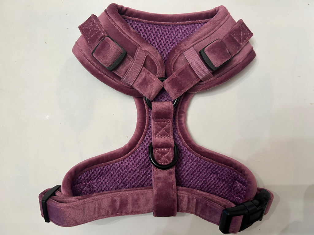 Dapper Dogs Design - Purple Velvet Complete Set ( Harness, Collar, Lead & Poo Bag Holder)