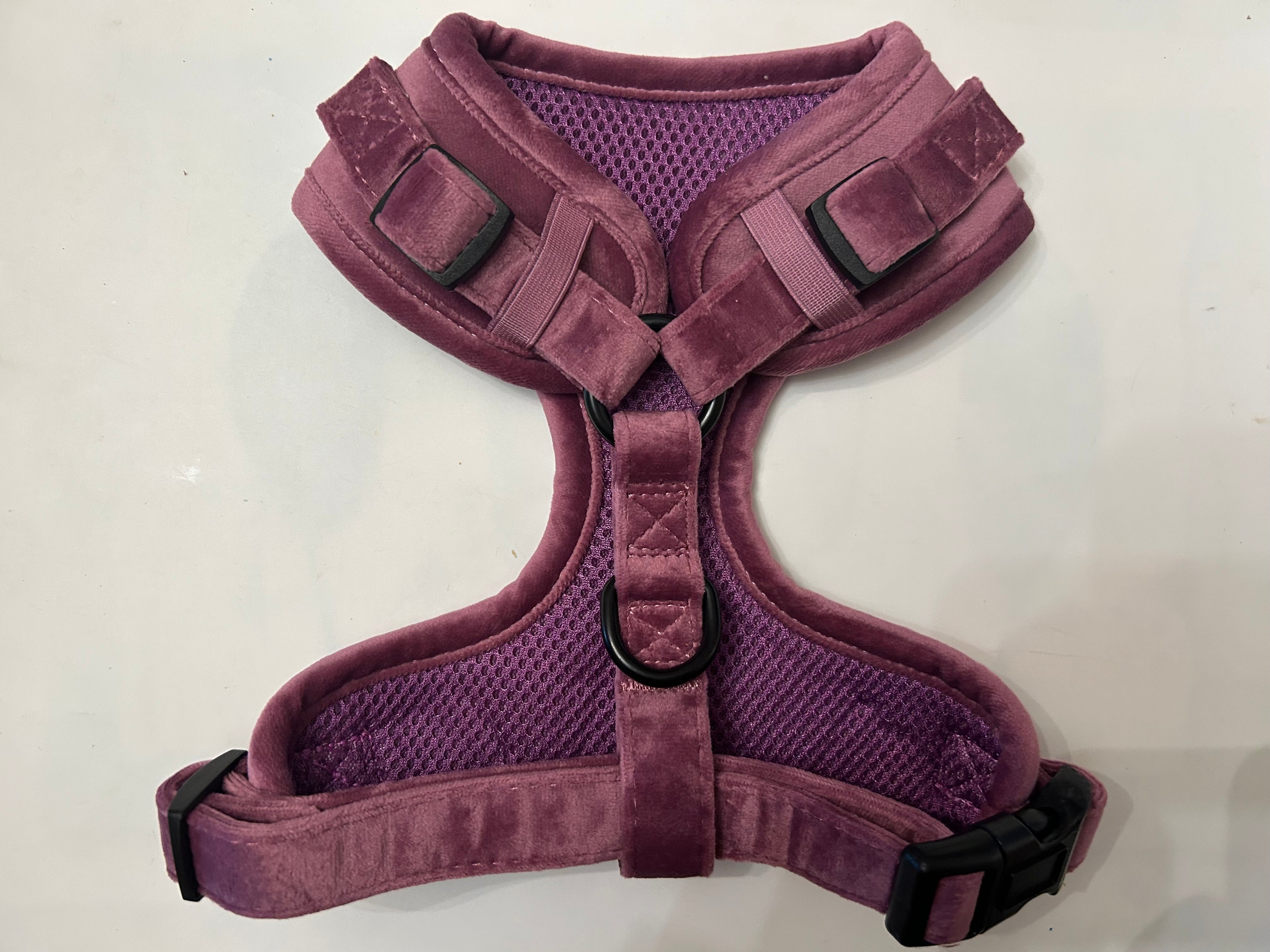 Dapper Dogs Design - Purple Velvet Complete Set ( Harness, Collar, Lead & Poo Bag Holder)