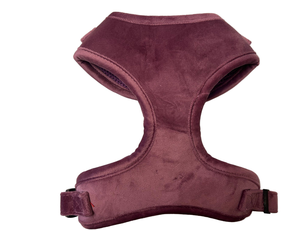 Dapper Dogs Design - Purple Velvet Complete Set ( Harness, Collar, Lead & Poo Bag Holder)