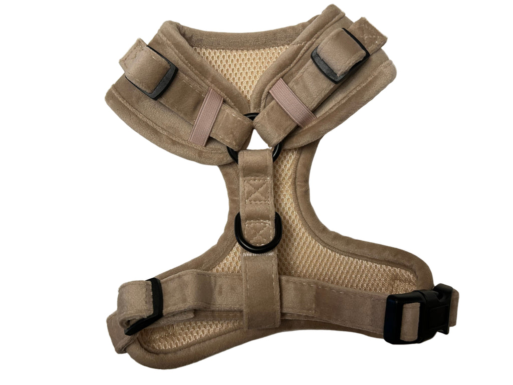 Dapper Dogs Design - Beige Softest Velvet Complete Set ( Harness, Collar, Lead & Poo Bag Holder )