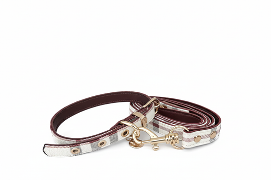Brightened collar and lead set