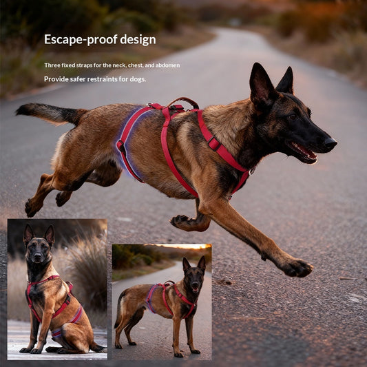Dog Leash Anti-Pull Harness For Medium- To Large-Sized Dogs
